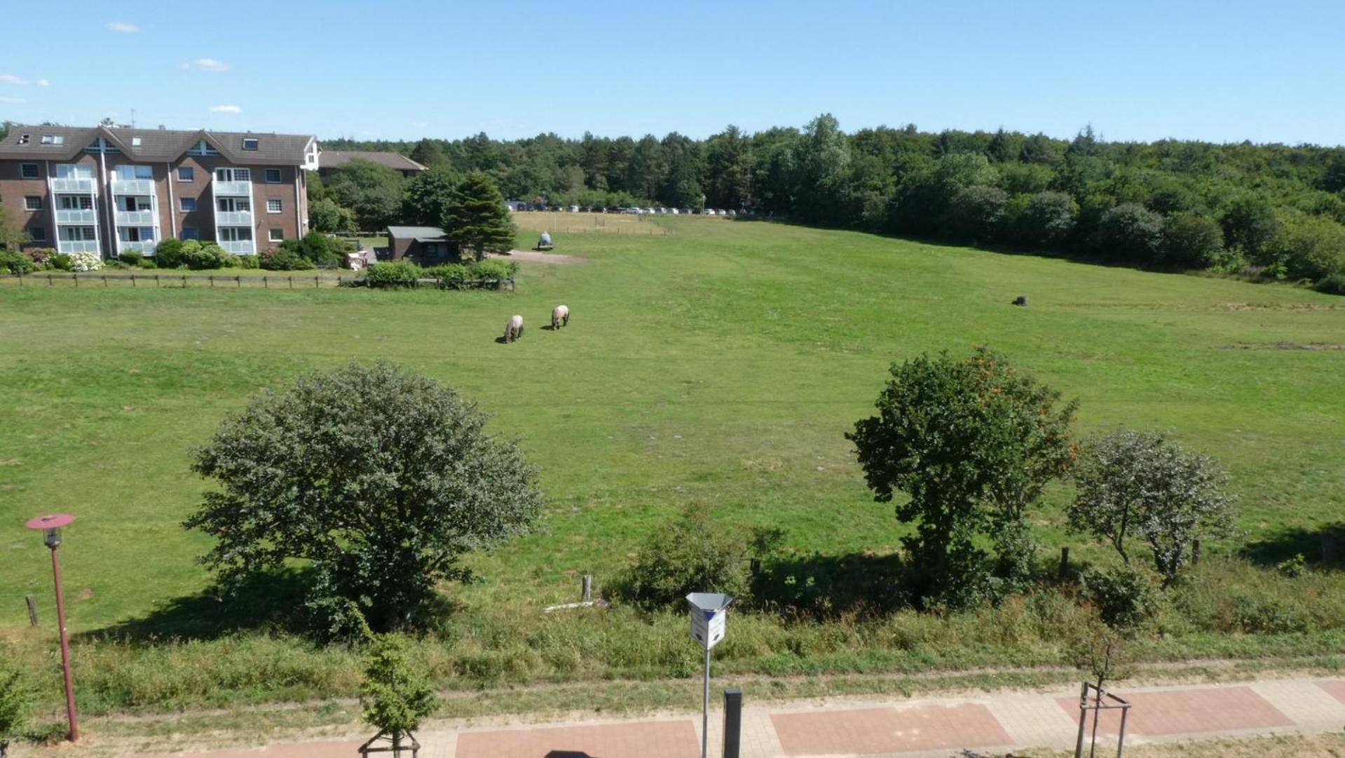 Quartier Hohe Geest 17 - Nord Seestern - A69854 * Cuxhaven
